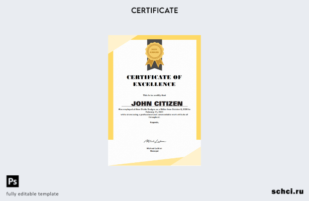 цифровая загрузка шаблона сертификата качества USA Excellence Cert